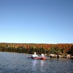 Profile Picture of Lisa Viveiros (@viveiroslisa) on Instagram