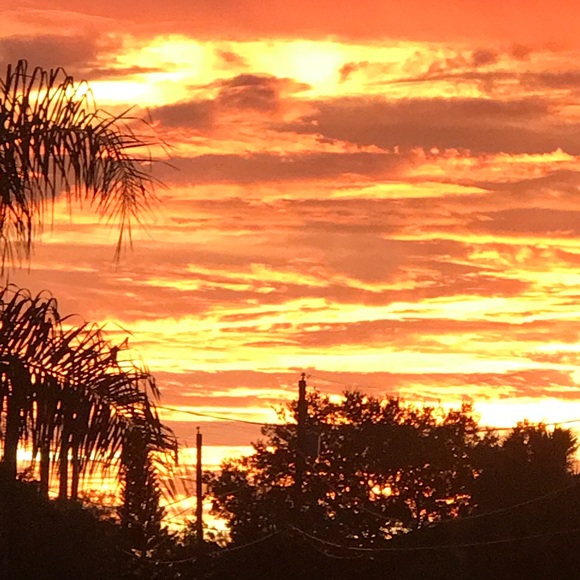 Kl Harburg - Poshmark Profile Picture of Kl Harburg (@thecoterie) on Poshmark