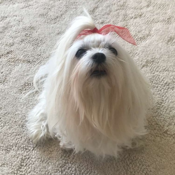 Profile Picture of Kylie Loppnow (@kloppnow14) on Poshmark