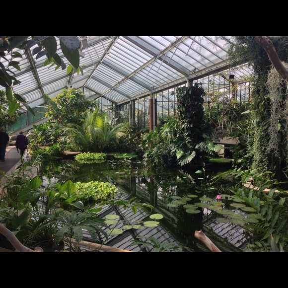 Profile Picture of Jerome Brown (@soulofsole) on Poshmark