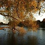 Profile Picture of Dustin McIlwain (@mcilwaind) on Instagram