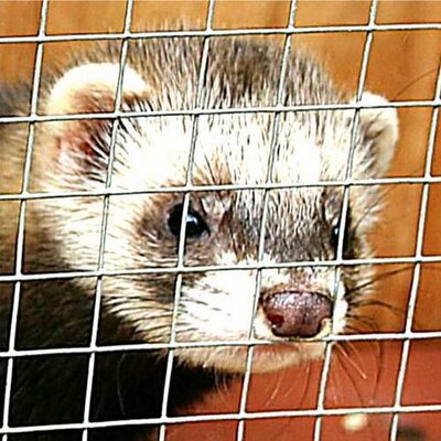 Geoff Church - Twitter Profile Picture of Geoff Church (@Haupt15) on Twitter