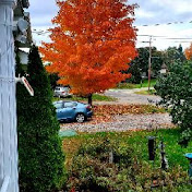 Profile Picture of Daniel Vaillancourt (@puccipacha) on Youtube