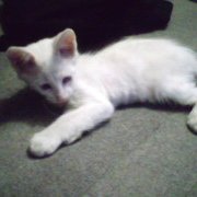 Profile Picture of Paula Marian Andrada (@PauMariAnd) on Twitter