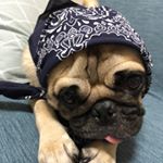 Profile Picture of Takumi Akikusa (@taku.h.a) on Instagram