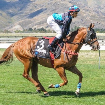 Profile Picture of Steve Lovett (@meekamax) on Twitter