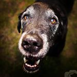 Profile Picture of freedom patrick (@patrickatthetopofthestairs) on Instagram