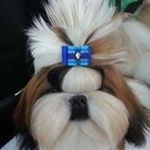 Profile Picture of Mitsuko Watanabe (@watanabe.mitsuko) on Instagram