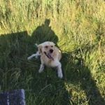 Profile Picture of Brendan Scully (@scully.brendan) on Instagram