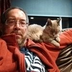 Profile Picture of Steven Gibbons (@seamusfitzgibbons) on Instagram