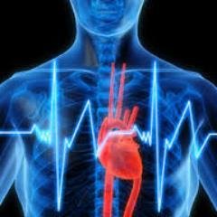 Profile Picture of Joshua Sturgeon (@MedJosh) on Twitter