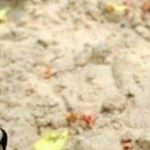 Profile Picture of Lance Sanders (@yummy1803) on Instagram