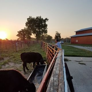 Profile Picture of John Millard (@john.millard.7399) on Facebook