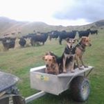 Profile Picture of Jamie McCormack (@mccormack5544) on Instagram