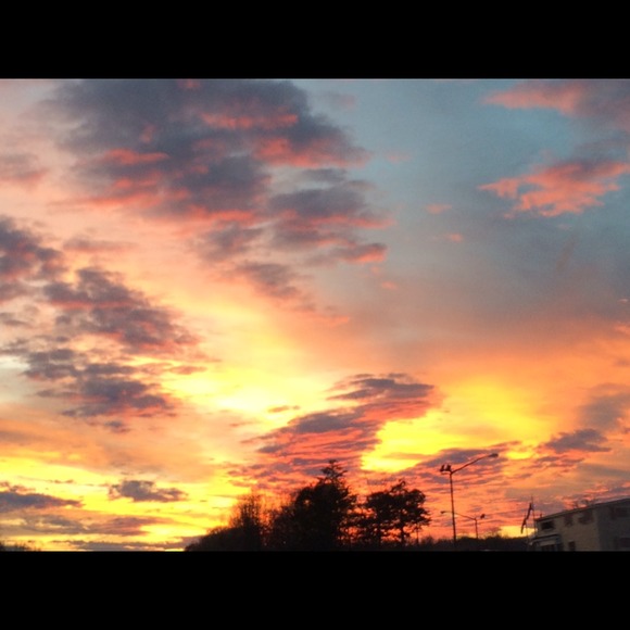 Profile Picture of Elyse Miele (@bananapeel232) on Poshmark