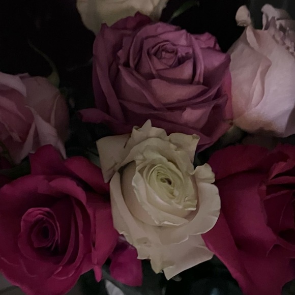 Profile Picture of Rheanna Richardson (@richrhe49) on Poshmark