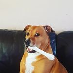 Profile Picture of Mandy Mckinnon (@mandymck1979) on Instagram