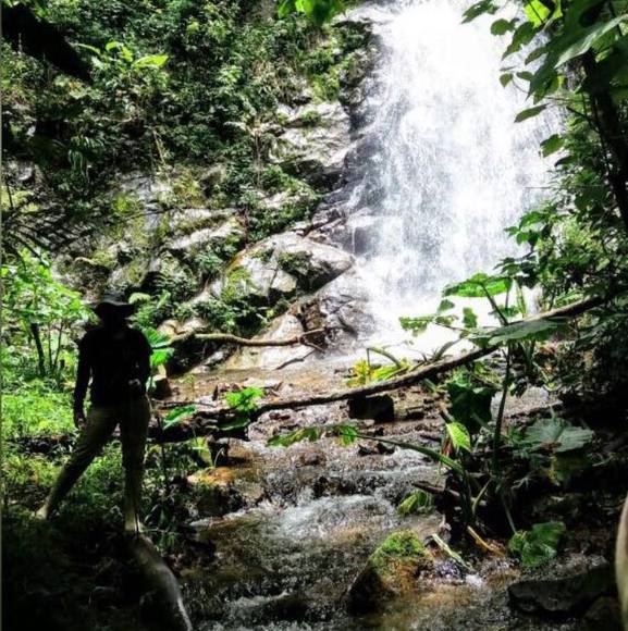 Rosemary Rosemary - Poshmark Profile Picture of Rosemary Rosemary (@rogasevi) on Poshmark