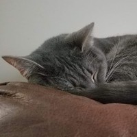 Meredith Rucinski - Quora Profile Picture of Meredith Rucinski (@meredith-rucinski) on Quora