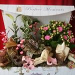 Profile Picture of Peter Rodica (@rucxanda_peter) on Instagram