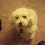 Profile Picture of Max Rosenthal (@max_shmosenthal) on Instagram