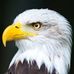 Profile Picture of John Glenn (@john.gleen.311) on Facebook