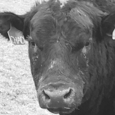 Profile Picture of Chad Gross (@ChadGross1) on Twitter