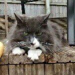 Profile Picture of Paula Wagstaff (@wagstaffp) on Instagram