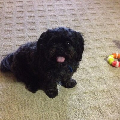 Lisa Wimsatt - Twitter Profile Picture of Lisa Wimsatt (@LisaWimsatt) on Twitter