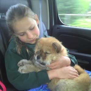 Beverly Krammer - Twitter Profile Picture of Beverly Krammer (@KrammerBeverly) on Twitter