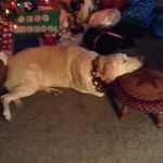 Profile Picture of Tyler Hibbard (@tyhib29) on Instagram