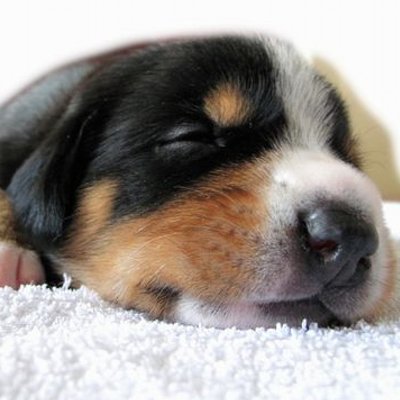 Profile Picture of Marc Brauer (@mbrauer560) on Twitter