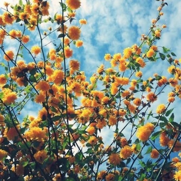 Profile Picture of Keely Shea (@keelyshea8) on Poshmark