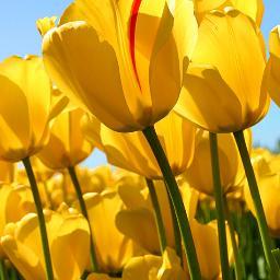 Profile Picture of Carl  Paden (@CoolPaden) on Twitter