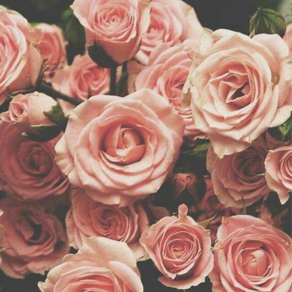 Profile Picture of Richelle Wilford (@richellewilford) on Poshmark