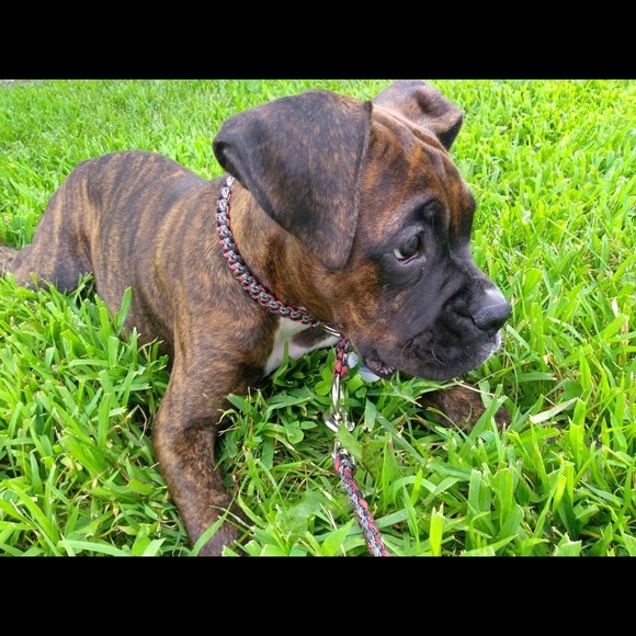 Profile Picture of Casie Paulsrud (@cpaulsrud) on Poshmark