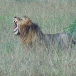 Profile Picture of Jeffrey Currier (@jacseattle) on Instagram