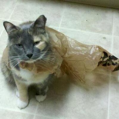 Profile Picture of Phantom (@PantsWeikumJohn) on Twitter