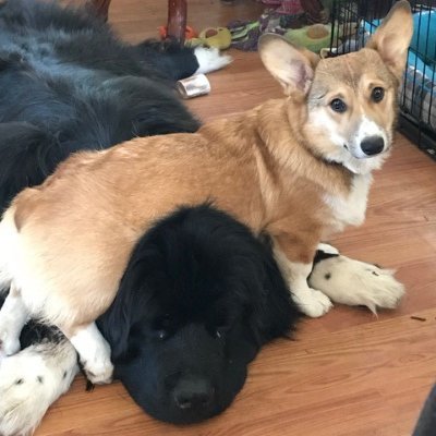 Profile Picture of Claudine Bell (@Claudin11492892) on Twitter