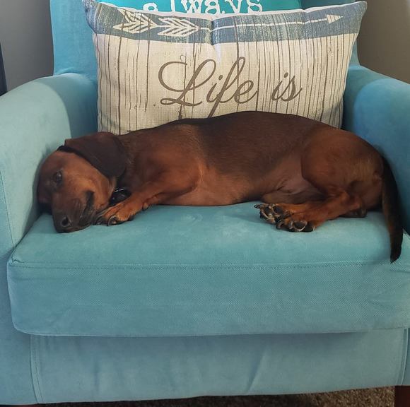 Profile Picture of Gail Tincher adams (@gla0509) on Poshmark