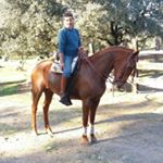 Profile Picture of Jose Cristino Diaz Neyra (@josecristinodiazneyra) on Instagram