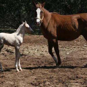 Profile Picture of Christi Baldwin (@cowgirlchristi) on Myspace