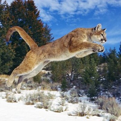 Profile Picture of Andreas Köhler (@andy_koehler) on Twitter