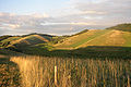 Profile Picture of Central Uplands - Wikipediaon Wikipedia