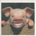 Profile Picture of David Chisholm (@david.chisholm.71653) on Facebook