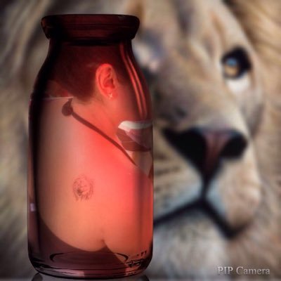 Profile Picture of Guillermina Lopez (@guillalop19) on Twitter