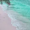 Profile Picture of JULIA_CHEER🖤💛🌸🤸‍♀️ (@julia_cheer16) on Tiktok