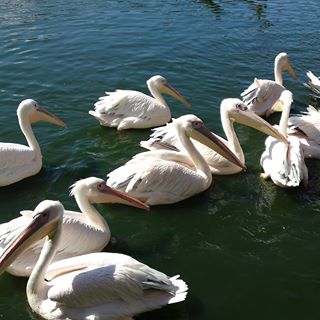 Profile Picture of Florian Kahlert (@florian.kahlert.5243) on Facebook