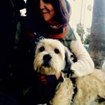 Kira Preston - Instagram Profile Picture of Kira Preston (@flossy_rainbow) on Instagram