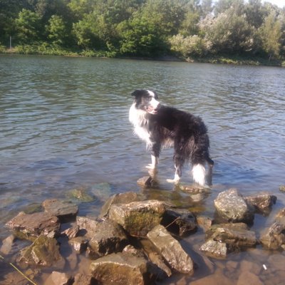 Profile Picture of Thomas Rieger (@TrRieger) on Twitter